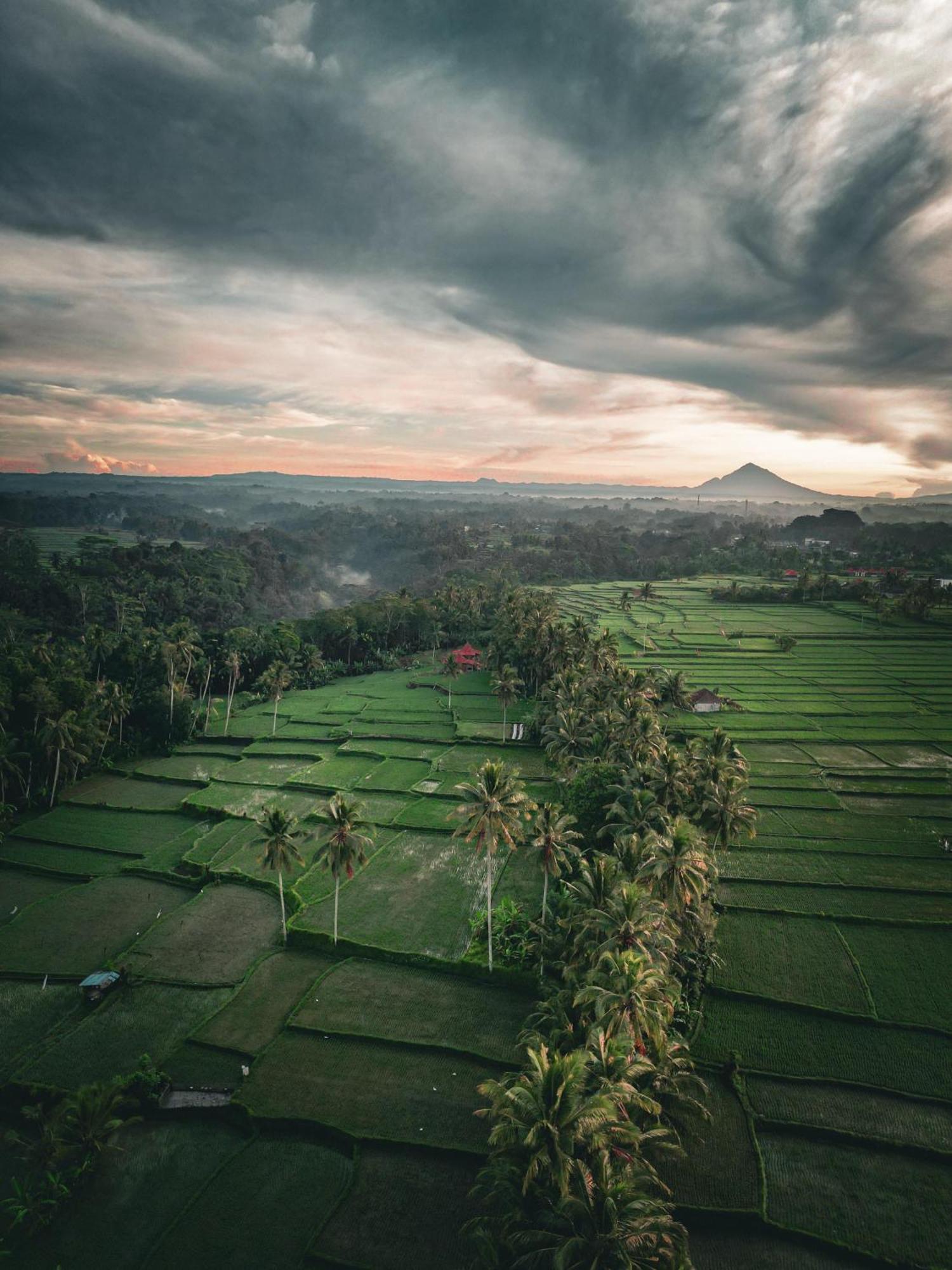 Ayu Duwur Beji Hotel Ubud Exterior foto