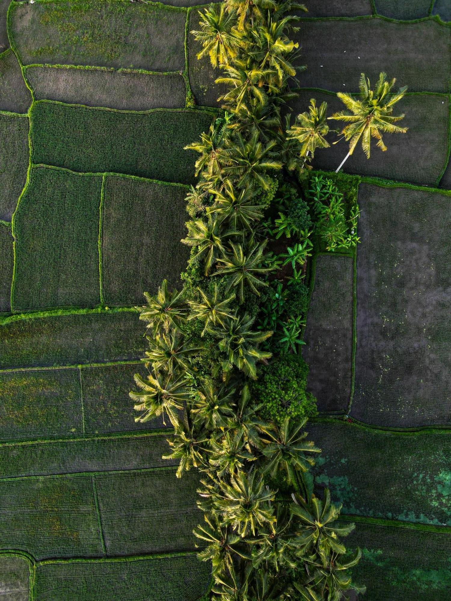 Ayu Duwur Beji Hotel Ubud Exterior foto